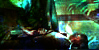 Bones Buffy Prison Break A Knight's Tale Farscape OC
