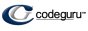 CodeGuru