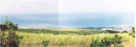 The view from the road above Waimea.