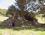 Buron de la Borie Haute
