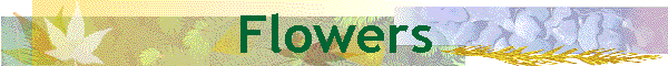Flowers