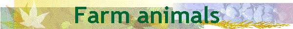 Farm animals