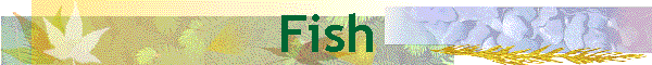 Fish
