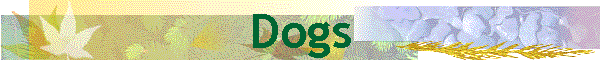 Dogs