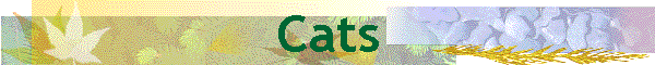 Cats