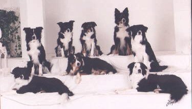 Family Photo