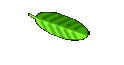 Aop