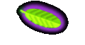 Fo