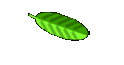 Fo