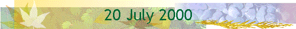 20 July 2000
