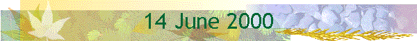 14 June 2000