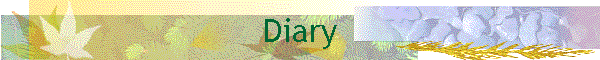 Diary