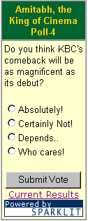 A Snapshot of the Poll Questionaire-4