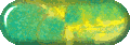 yelveinovawb.gif