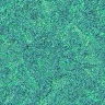 Tile 77