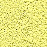 yelzig.jpg