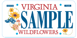Wildflowers License Plate