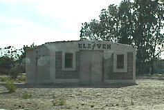 7Eleven