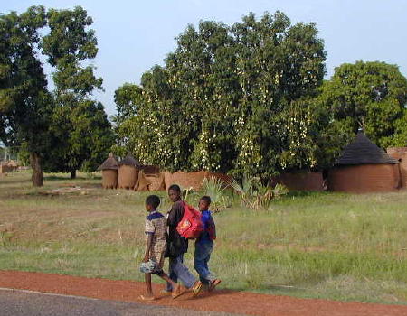 kids and mangoes