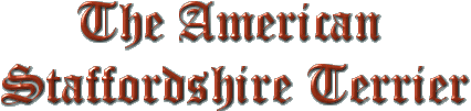 The American Staffordshire Terrier