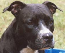 Xena