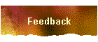 Feedback