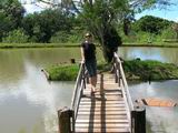 Marlene na ponte