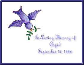 In loving memory of Angel, my first bird