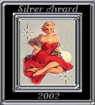 Web Site of Excellance Silver Award