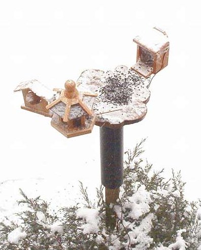 our feeder with webcam