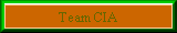 Team CIA