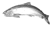 http://www.mheine.com