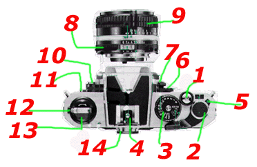 basictop.gif (29146 bytes)