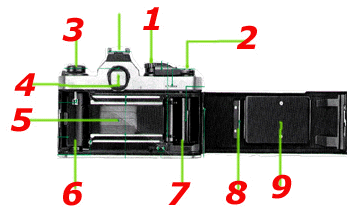 basicback.gif (22996 bytes)