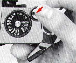 p07.jpg (32518 bytes)