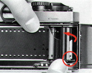 p14.jpg (32957 bytes)