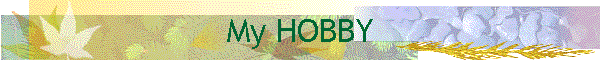 My HOBBY