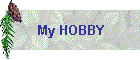 My HOBBY