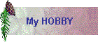 My HOBBY