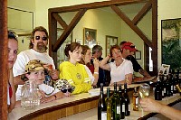 goanna2001-21.jpg