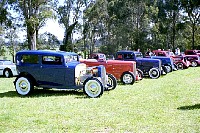 goanna2001-27.jpg