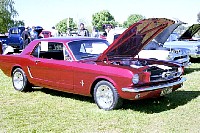 goanna2001-33.jpg