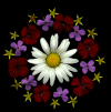 scan1.gif (78325 bytes)