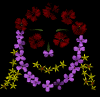 scan2.gif (37086 bytes)