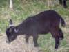 lionsfishingderby_02_small.jpg
