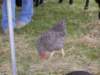 lionsfishingderby_03_small.jpg