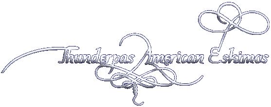 title.gif (17792 bytes)