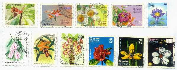 my-stamps-flowers.jpg (27009 bytes)