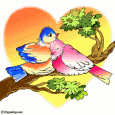 /user/birds.gif