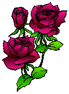 /user/drawnrose.gif